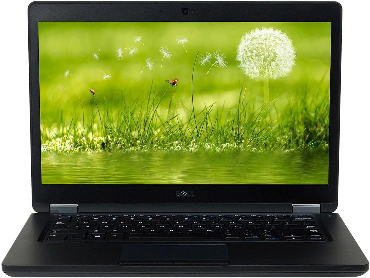 Dell- Latitude 5480 Business Laptop Intel Core 7Th Generation I5-7300U, 8Gb Ddr4, 256Gb Ssd